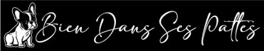 Bien Dans Ses Pattes Comportementaliste Canin A Mulhouse Logo Blanc 3